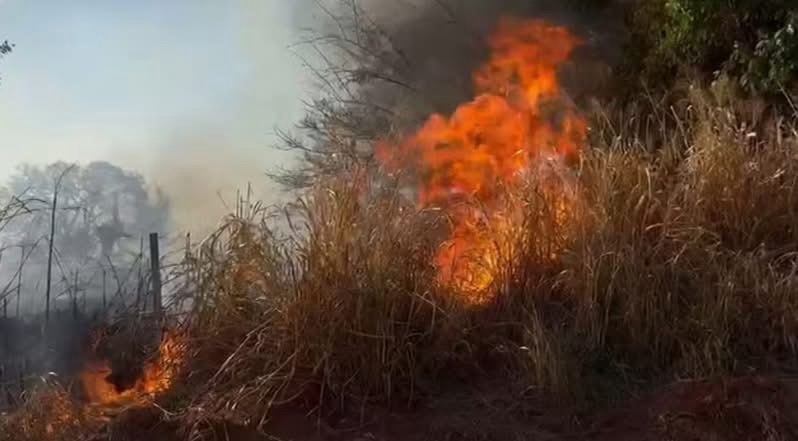 Incêndios na região noroeste interditam rodovias e causam destruição de plantações