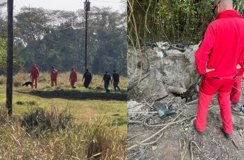 Polícia busca corpos de homens que desapareceram após cobrança de dívida no Paraná