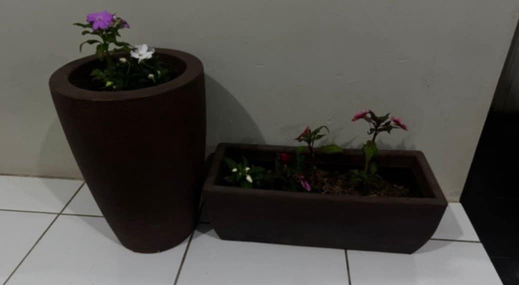 Mulher é presa em Fernandópolis após ser reconhecida por furto de vasos de plantas