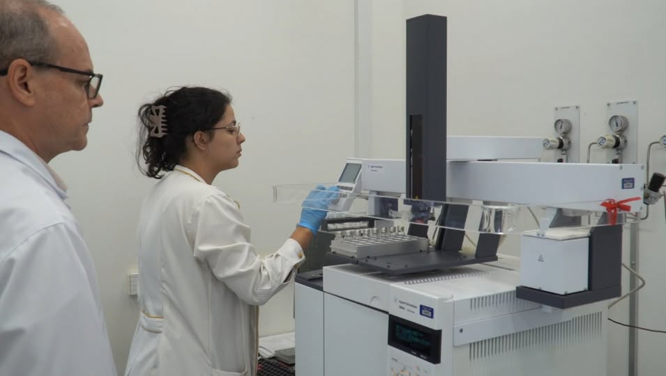 Como o trabalho laboratorial ajuda SP a confirmar e descartar casos de intoxicação por metanol