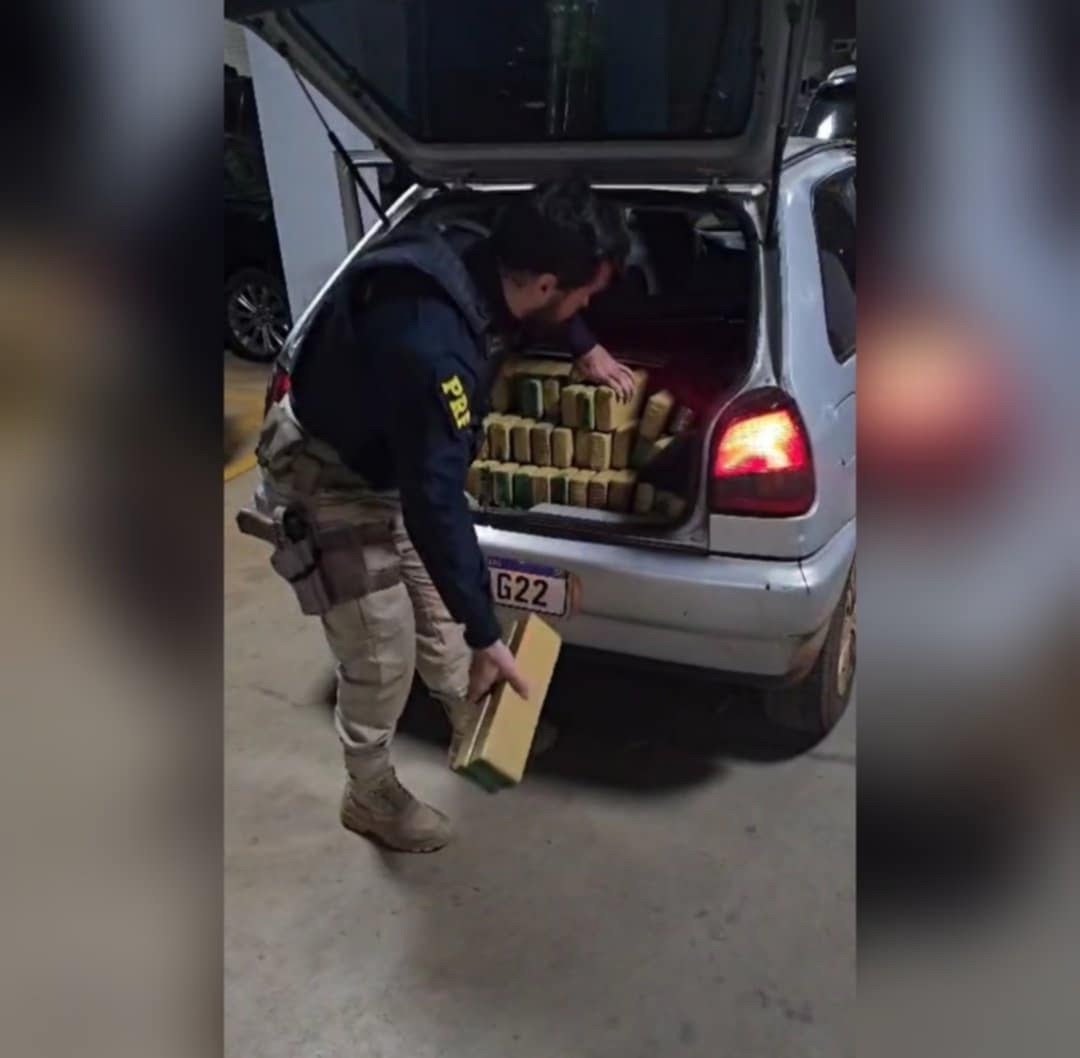 PRF apreende mais de 400 kg de maconha e seringas emagrecedoras em Nhandeara