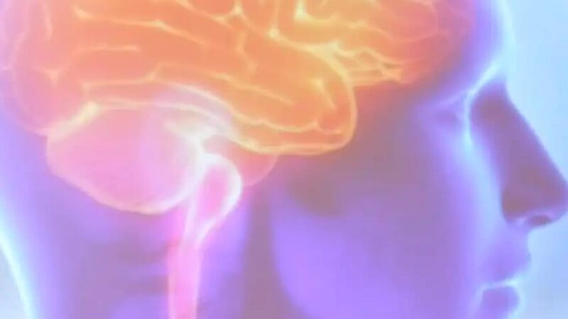 Projeto Ártemis avalia genética de pacientes que sofreram AVC