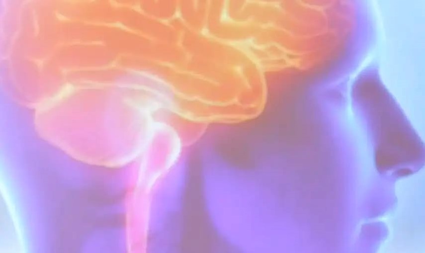 Projeto Ártemis avalia genética de pacientes que sofreram AVC